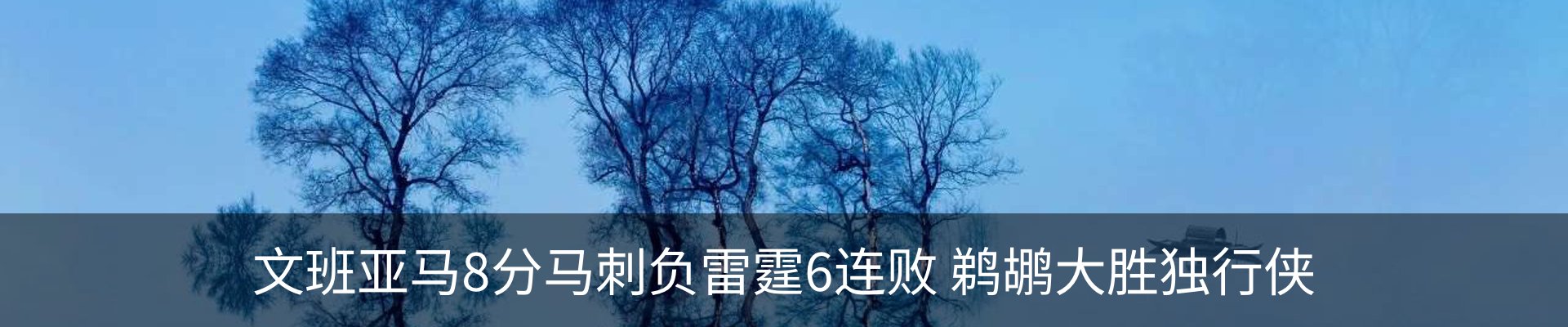 内页banner